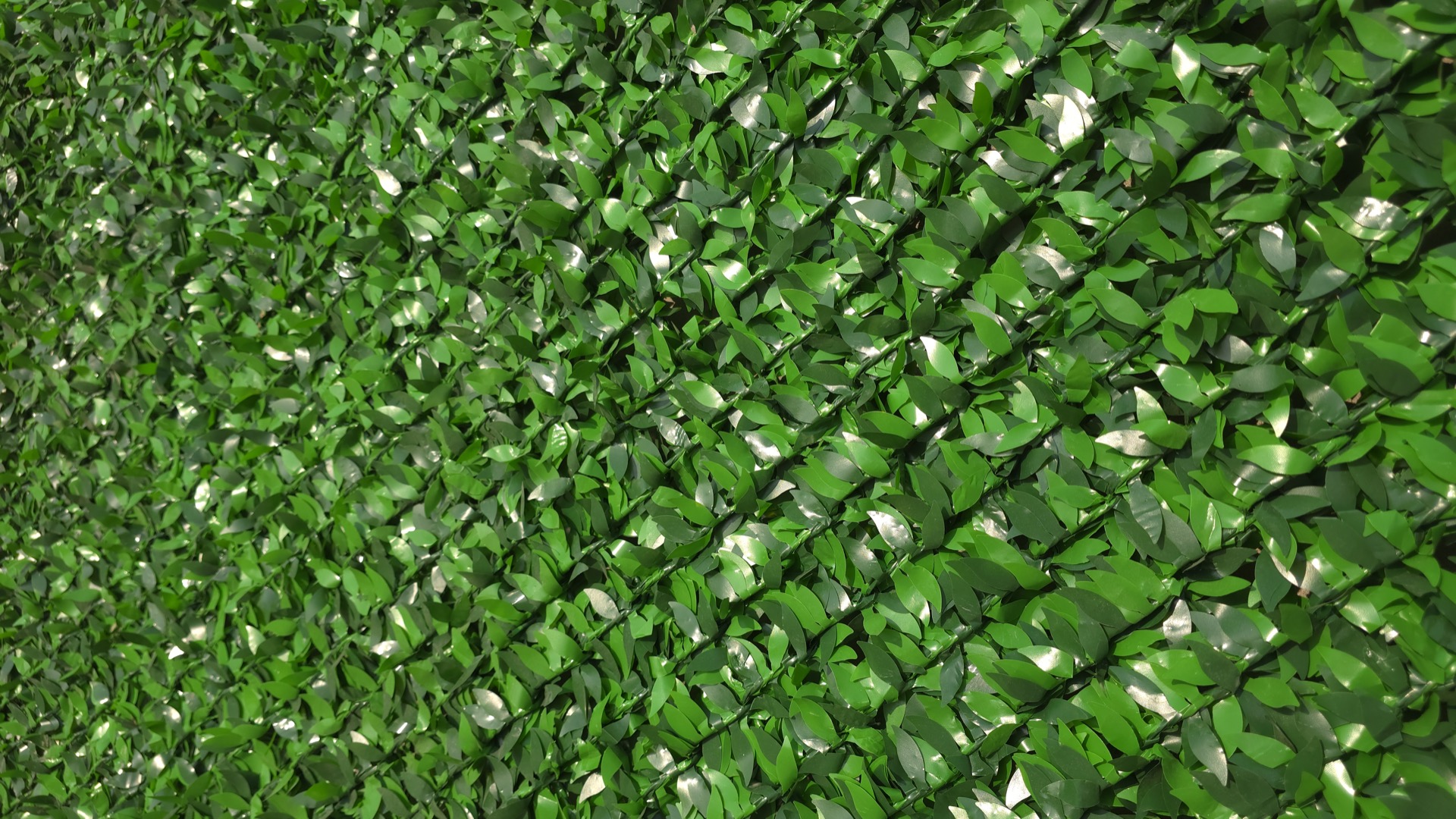 Econ ekozabori eco_fence_grass_macro_1.jpg