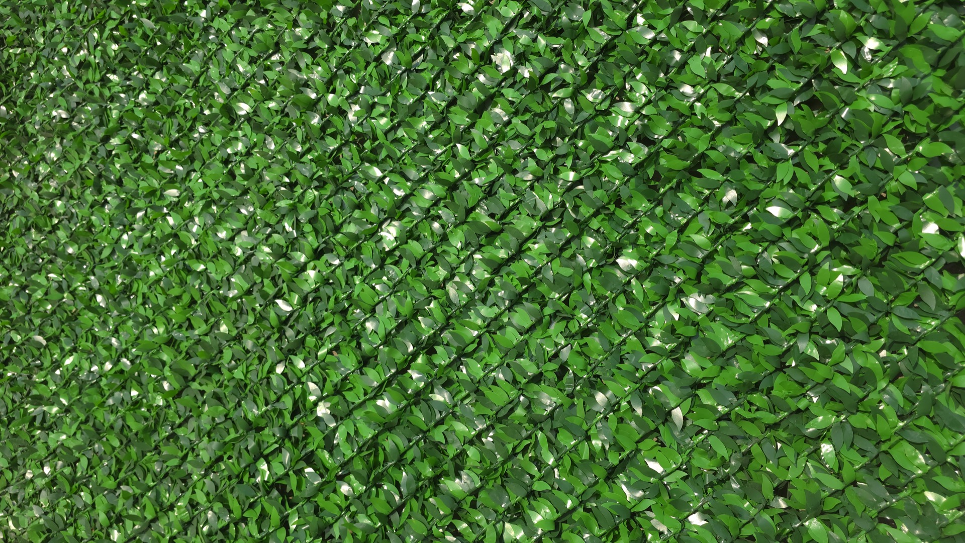 Econ ekozabori eco_fence_grass_macro_2.jpg