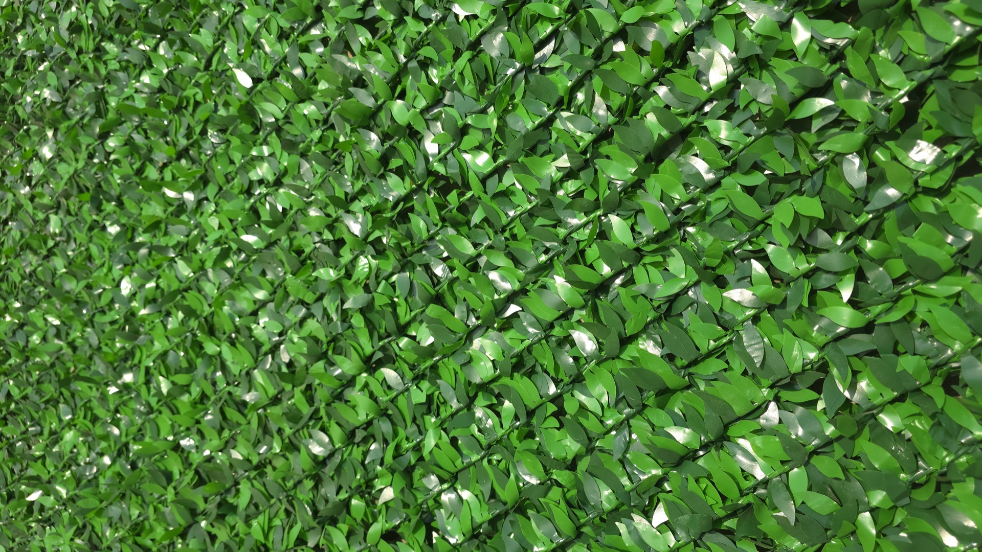 Econ ekozabori eco_fence_grass_macro_3.jpg