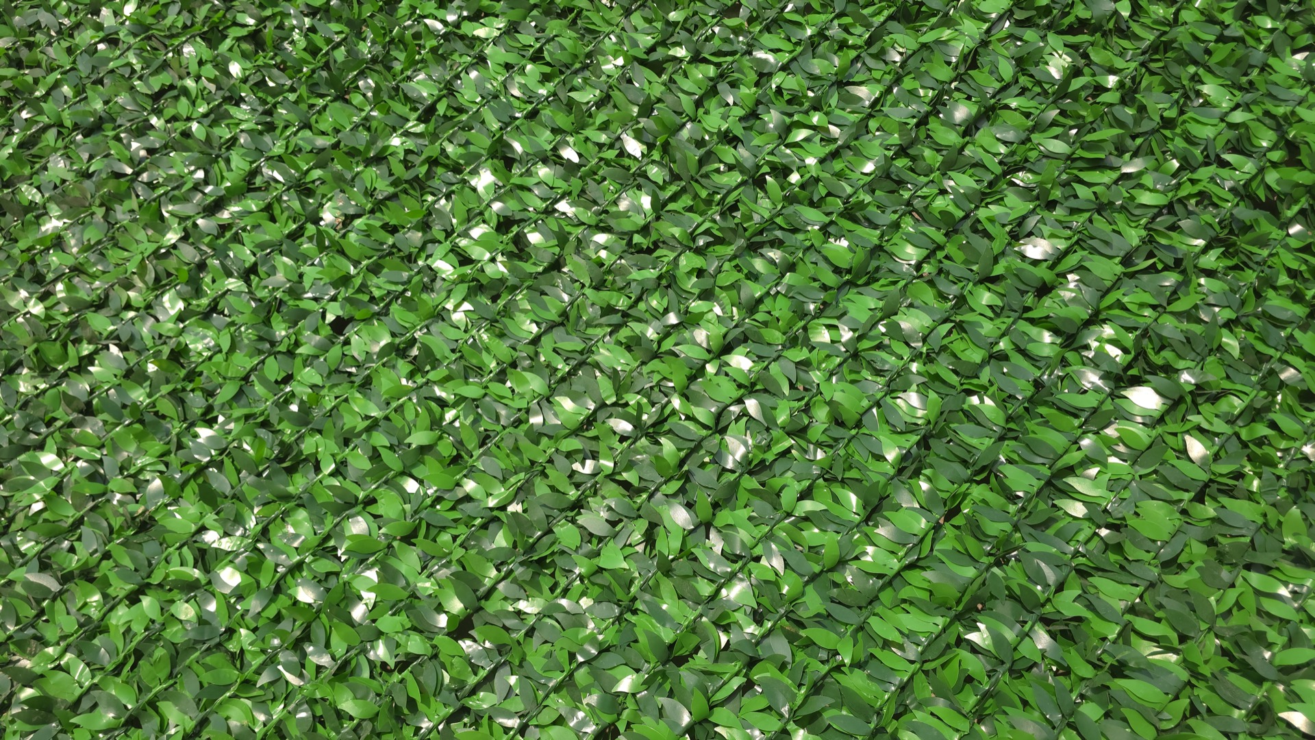 Econ ekozabori eco_fence_leaf_macro.jpg