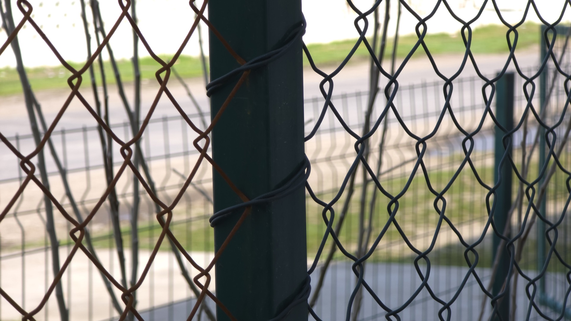 PVX rabitsa rabitza_s_PVH_horizontal_macro_comparison_regular+pvh.jpg