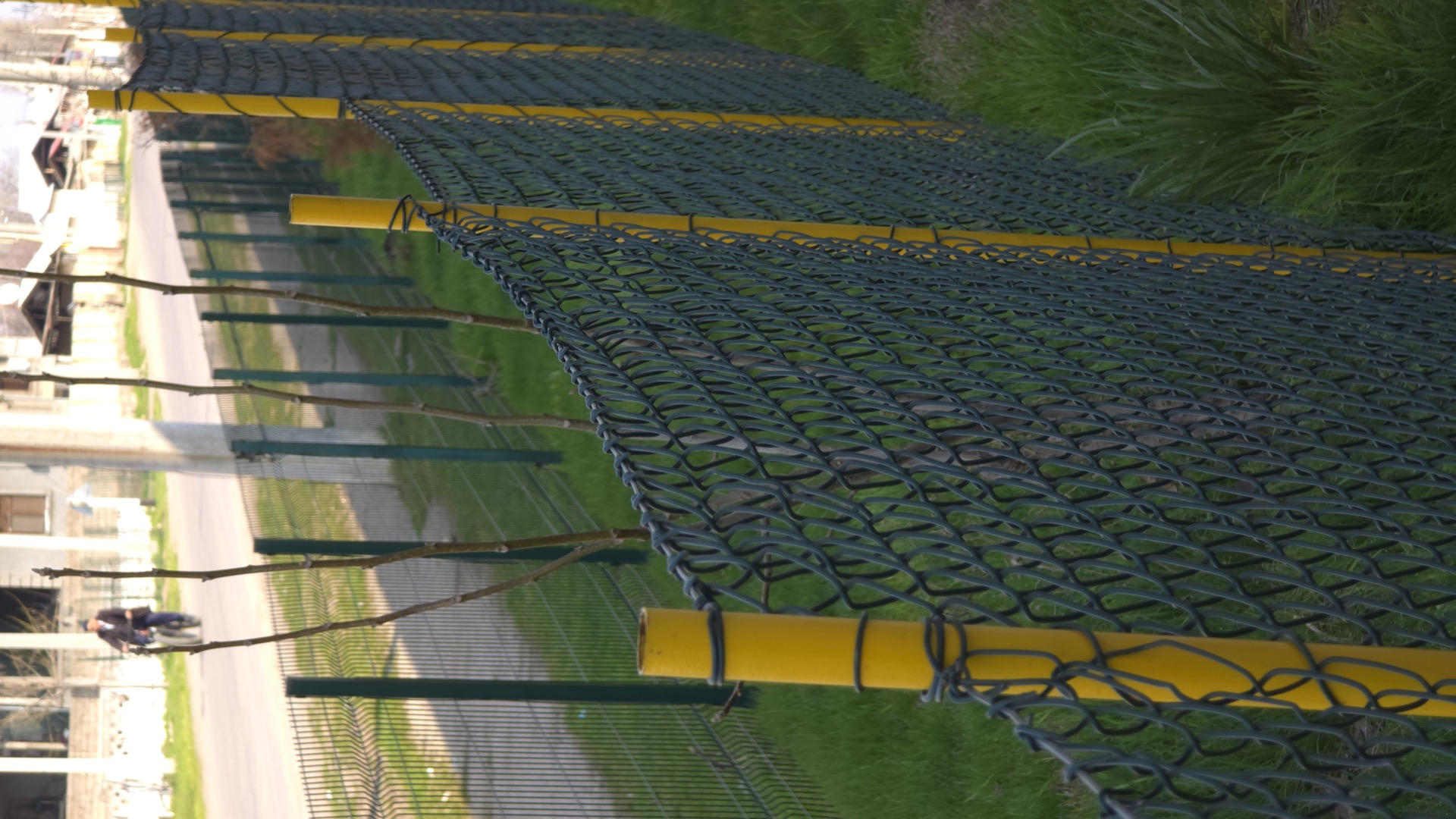 PVX rabitsa rabitza_s_PVH_vertical_3.jpg